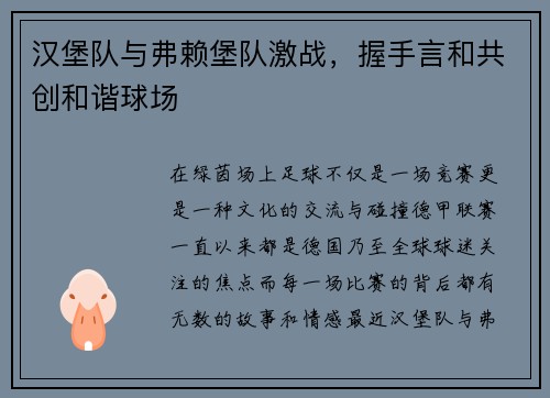 汉堡队与弗赖堡队激战，握手言和共创和谐球场