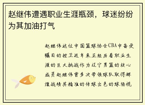 赵继伟遭遇职业生涯瓶颈，球迷纷纷为其加油打气