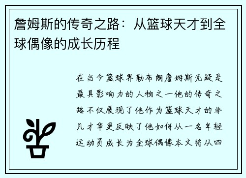 詹姆斯的传奇之路：从篮球天才到全球偶像的成长历程
