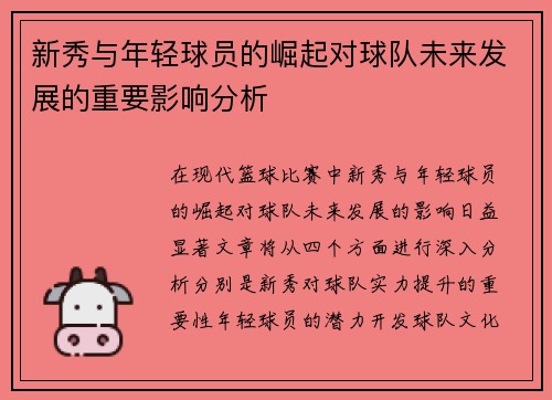 新秀与年轻球员的崛起对球队未来发展的重要影响分析