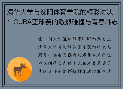 清华大学与沈阳体育学院的精彩对决：CUBA篮球赛的激烈碰撞与青春斗志