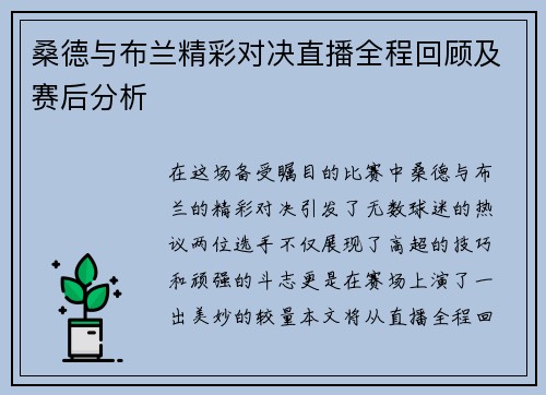 桑德与布兰精彩对决直播全程回顾及赛后分析